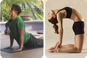 Yoga.Fitness